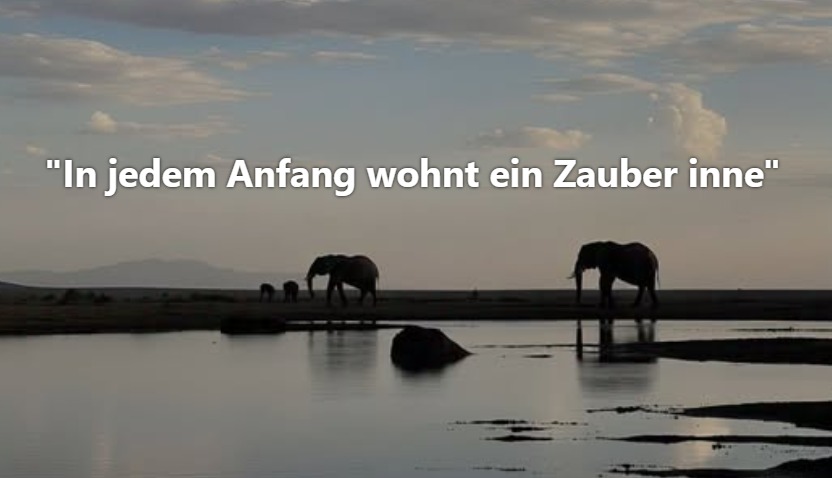 'In jedem Anfang wohnt ein Zauber inne"
